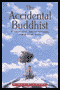 The Accidental Buddhist: Mindfulness, Enlightenment, and Sitting Still