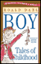 Boy: Tales of Childhood (Unabridged)