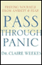Pass Through Panic: Freeing Yourself From Anxiety and Fear