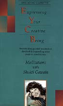 Buy Expressing Your Creative Being