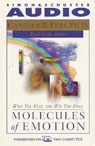 Molecules of Emotion: Why You Feel the Way You Feel