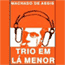Trio em la Menor (Trio in La-Minor)