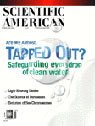 Scientific American, February 2001: Connections
