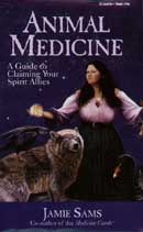 Animal Medicine: A Guide to Claiming Your Spirit Allies